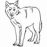 ВОЛК - ЛОГОпедические ПРОГраммы