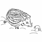 ЕЖ - ЛОГОпедические ПРОГраммы