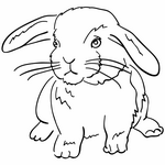 ЗАЯЦ - ЛОГОпедические ПРОГраммы