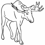 ЛОСЬ - ЛОГОпедические ПРОГраммы