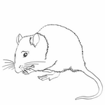 МЫШЬ - ЛОГОпедические ПРОГраммы