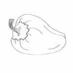 ПЕРЕЦ - ЛОГОпедические ПРОГраммы