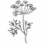 УКРОП - ЛОГОпедические ПРОГраммы